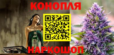 индика Рузаевка