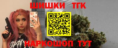 индика Рузаевка