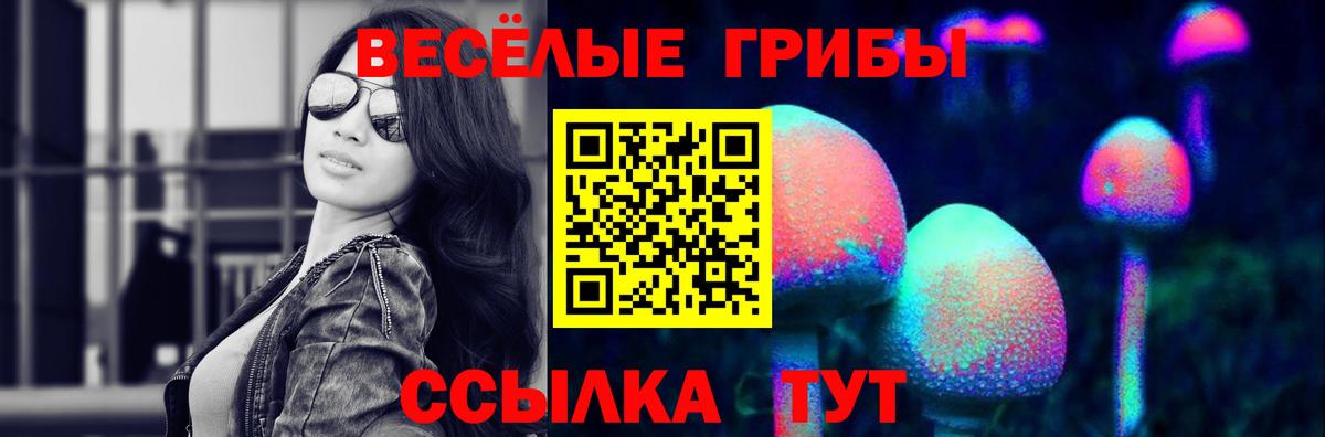 Тула  Псилоцибиновые грибы GOLDEN TEACHER  Вход с VPN  где можно купить наркотик  Псилоцибиновые грибы Psilocybe 